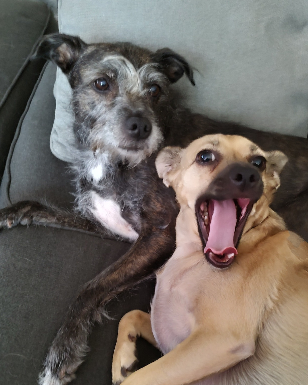 Meet Hazel & Rose, Our Spa Day Muses