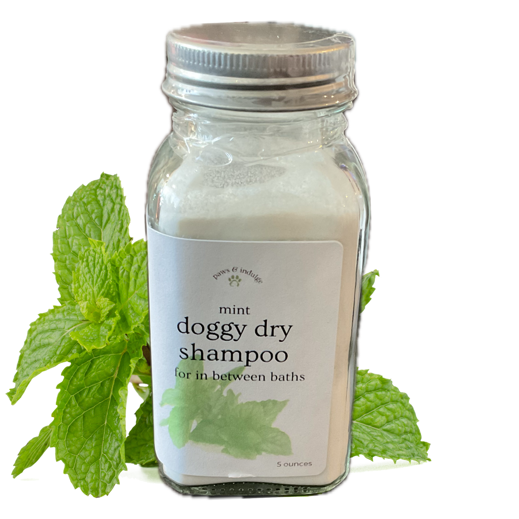 Mint Dry Dog Shampoo: Natural Waterless Deodorizing Pet Powder (6 Ounces)