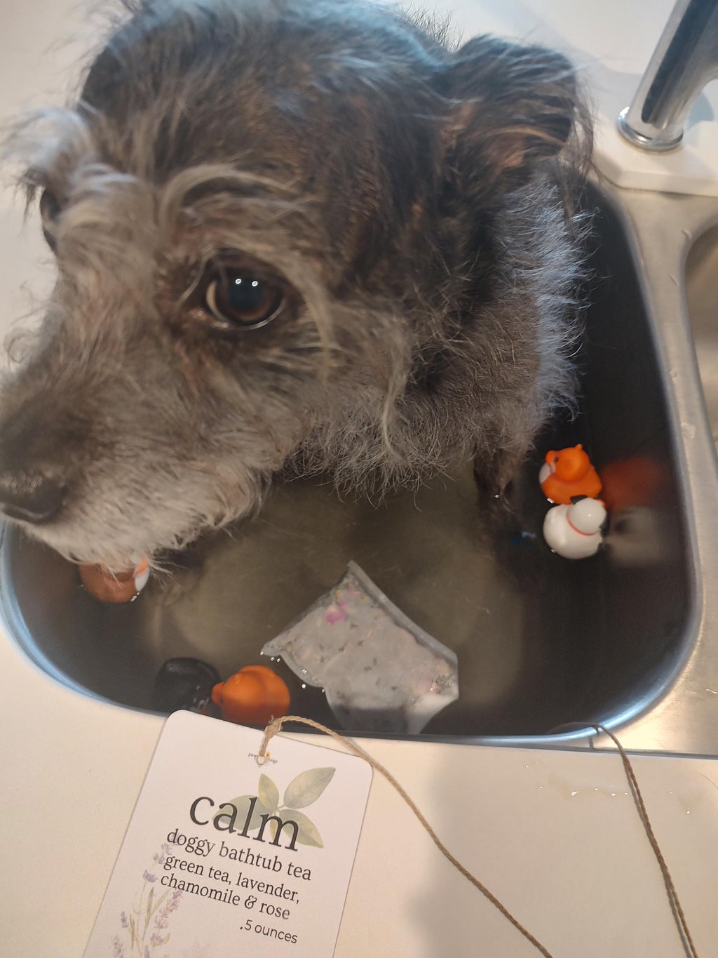 Botanical Dog Tub Tea | Mint, Rose & Calendula Bath Soak