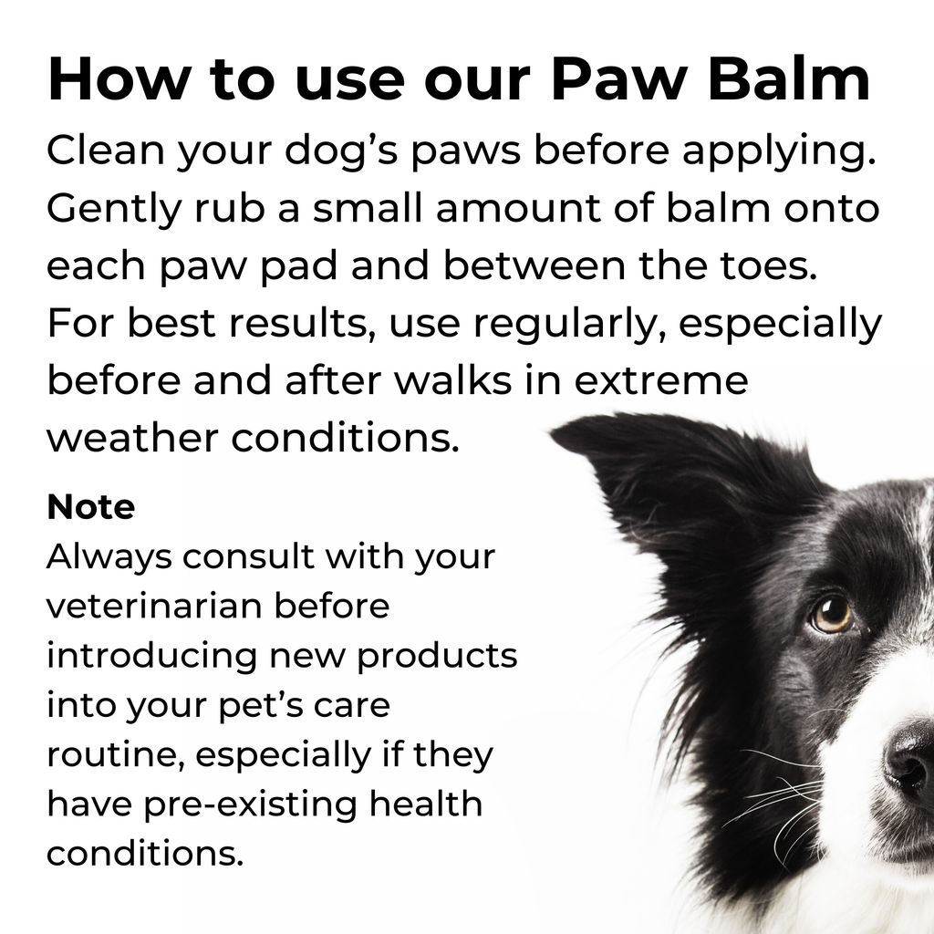 Moisturizing Dog Paw Balm in Metal Tin | 3-Ingredient Formula | Small-Batch