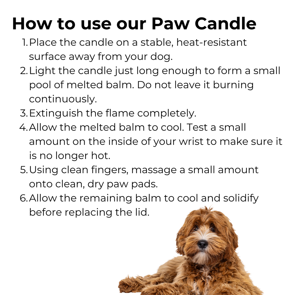 Balm & Ember Unscented Paw Balm Candle