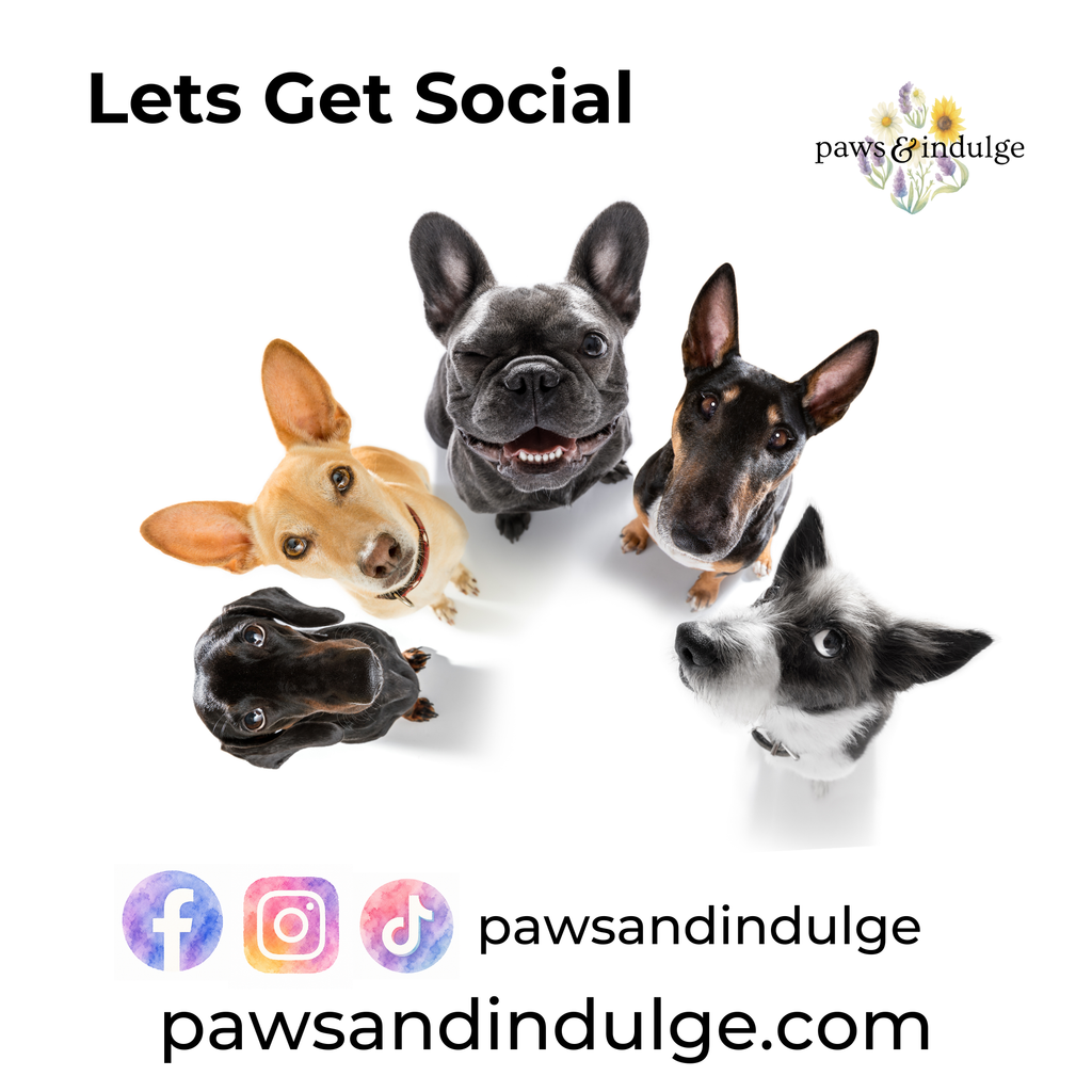 Balm & Ember Unscented Paw Balm Candle