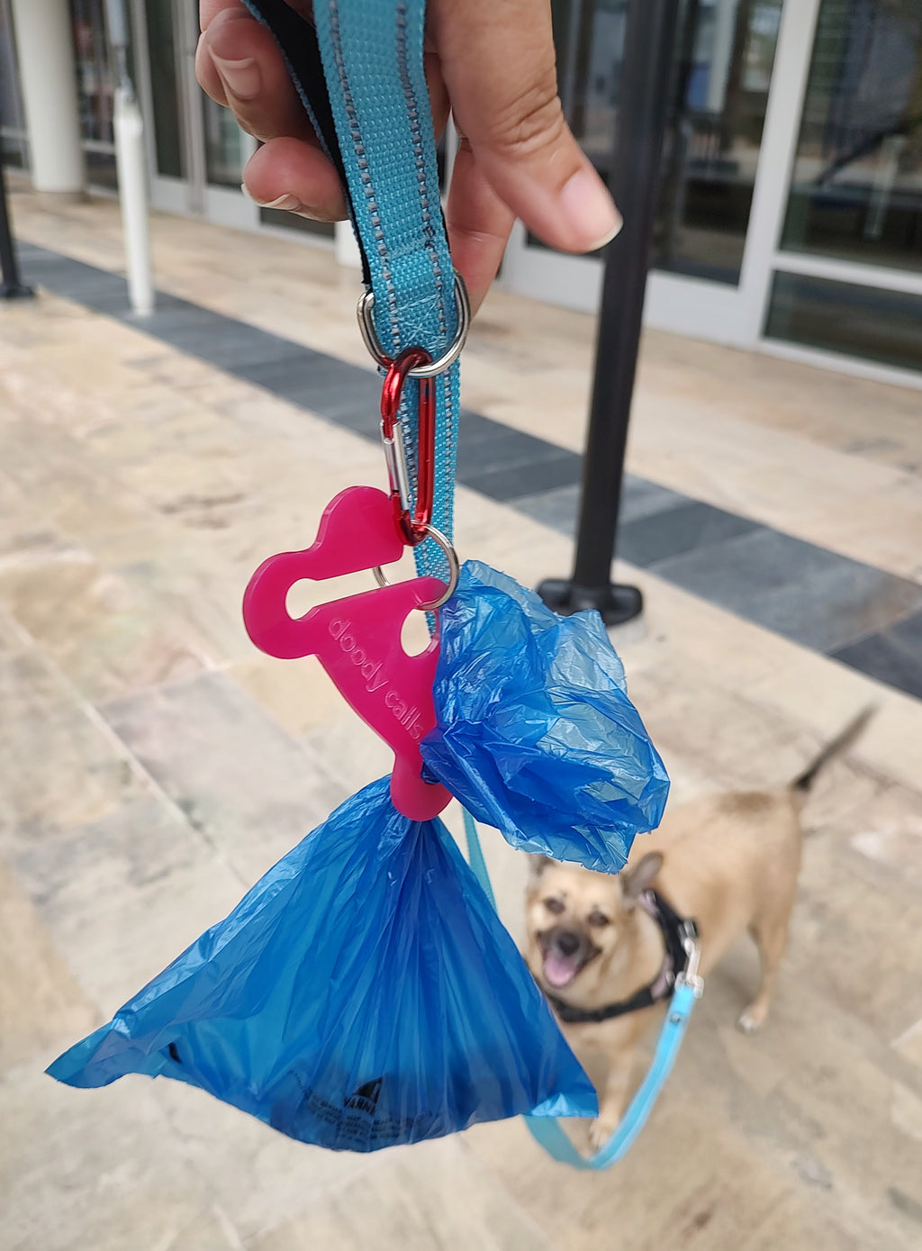 Doody Calls Dog Poop Bag Holder | Hands-Free Dog Waste Bag Holder | Funny Dog Leash Accessory | Acrylic Poop Bag Carrier