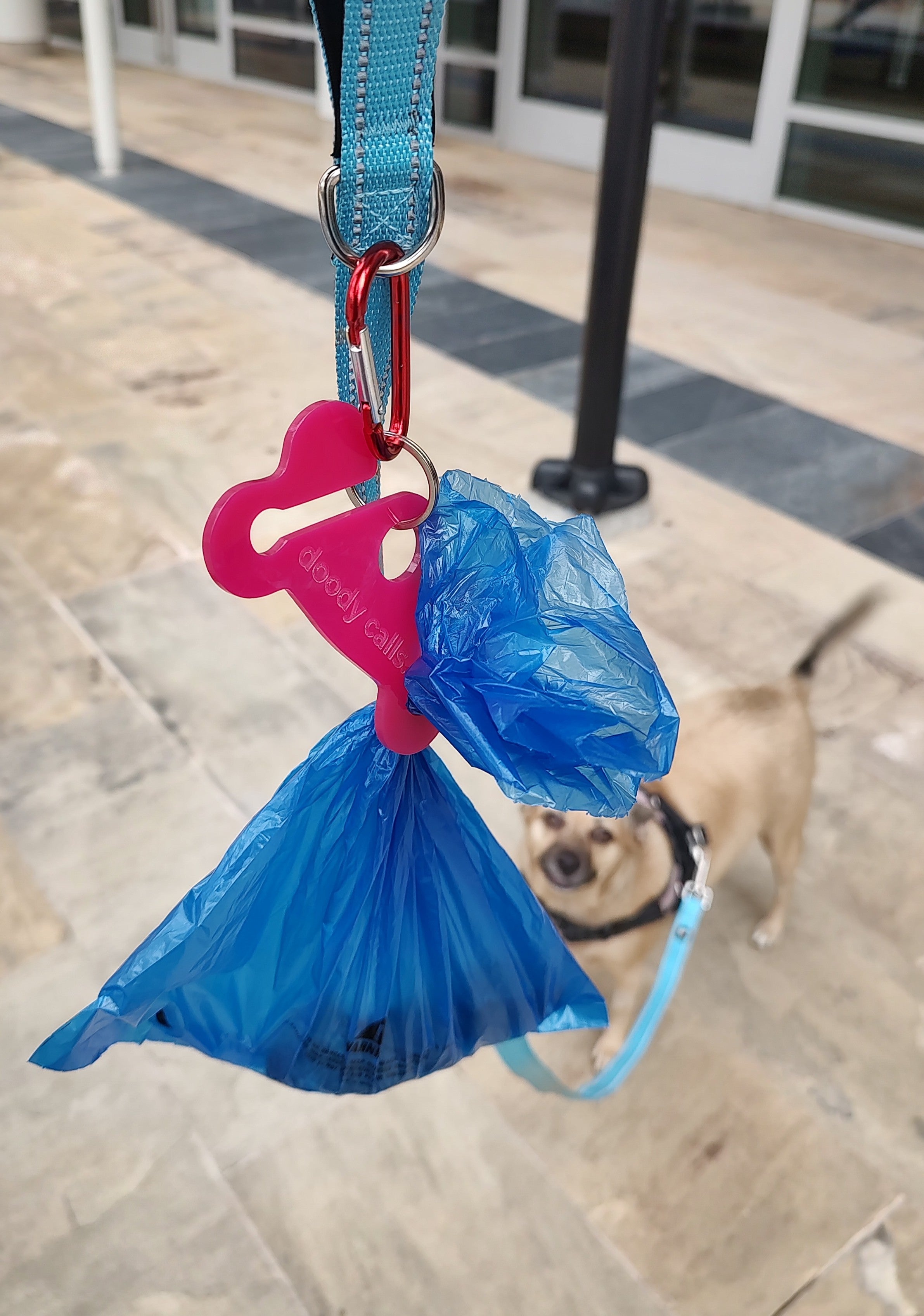 Doody Calls Dog Poop Bag Holder | Hands-Free Dog Waste Bag Holder | Funny Dog Leash Accessory | Acrylic Poop Bag Carrier