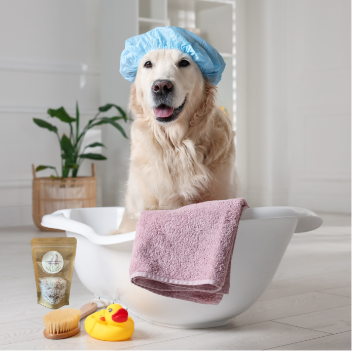 Dog in a bathtub with a blue shower cap, pink towel, and bath products on a light wooden floor.