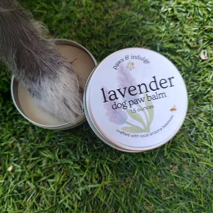 Lavender Dog Paw Balm: Handcrafted with Beeswax & Vitamin E (1.5 oz. tin)