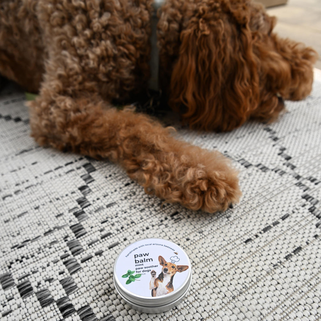 Mint Dog Paw Balm: Locally Sourced Beeswax, Nourishing Protection (1 oz. tin)