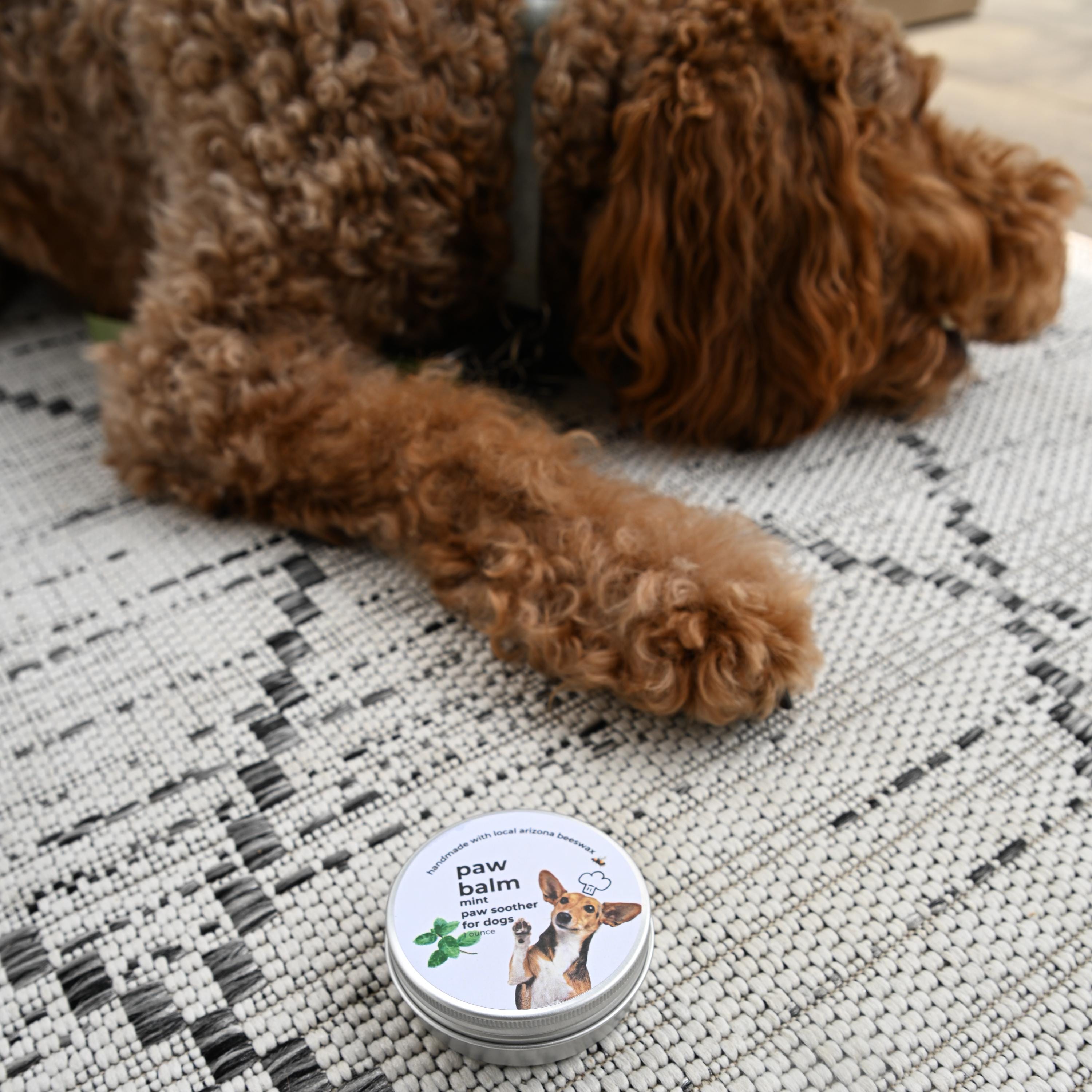 Mint Dog Paw Balm: Locally Sourced Beeswax, Nourishing Protection (1 oz. tin)