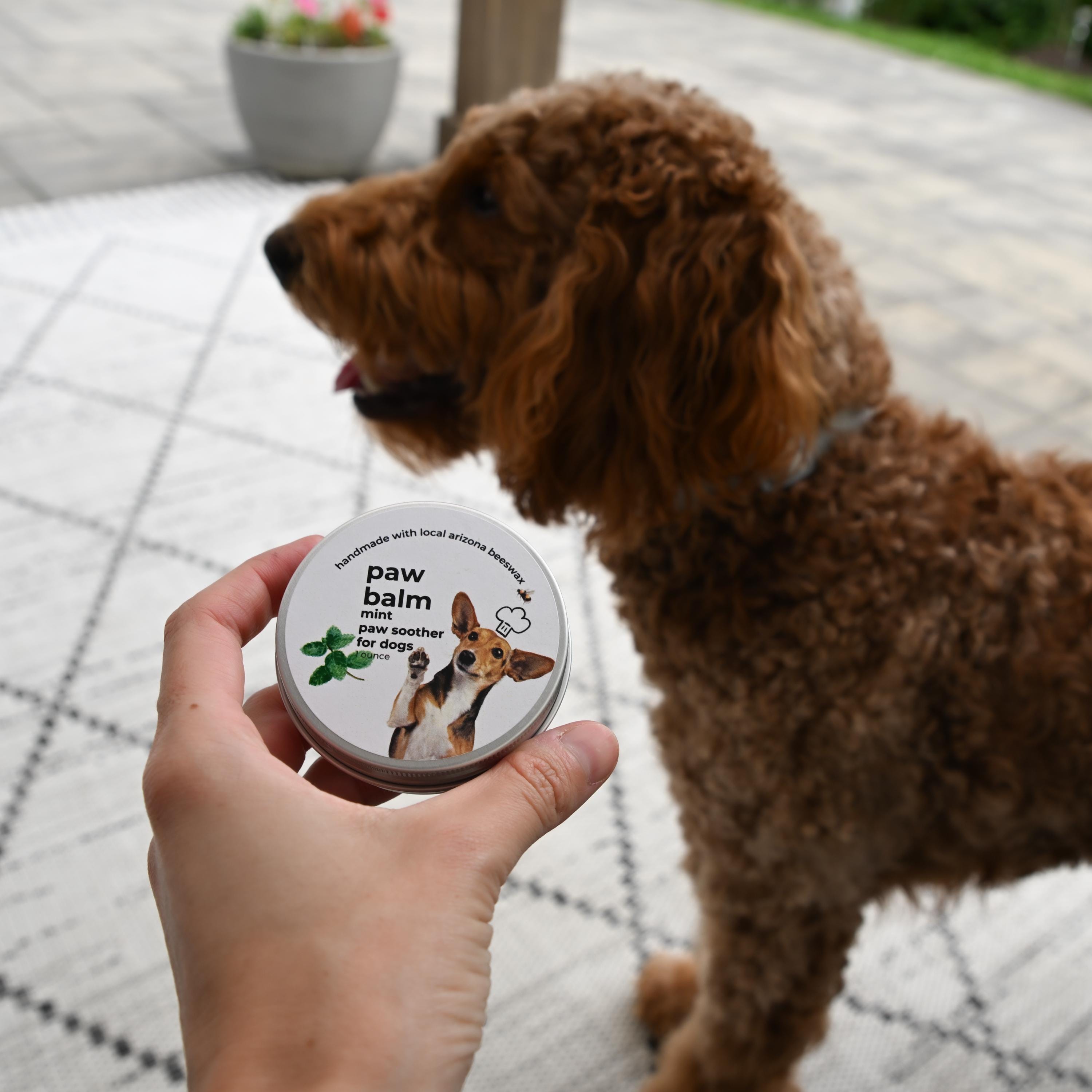 Mint Dog Paw Balm: Handcrafted with Beeswax & Vitamin E (1 oz. tin)