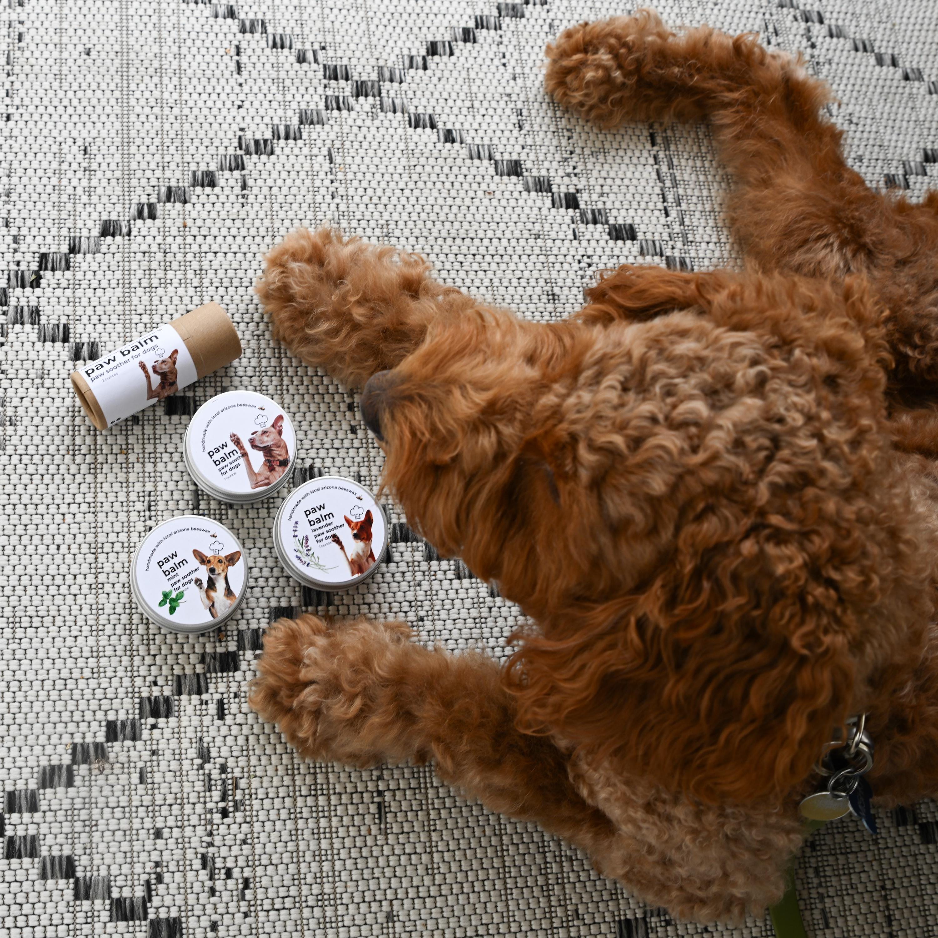 Beeswax Dog Paw Balm: Natural, Moisturizing, Unscented (2 oz Tube)