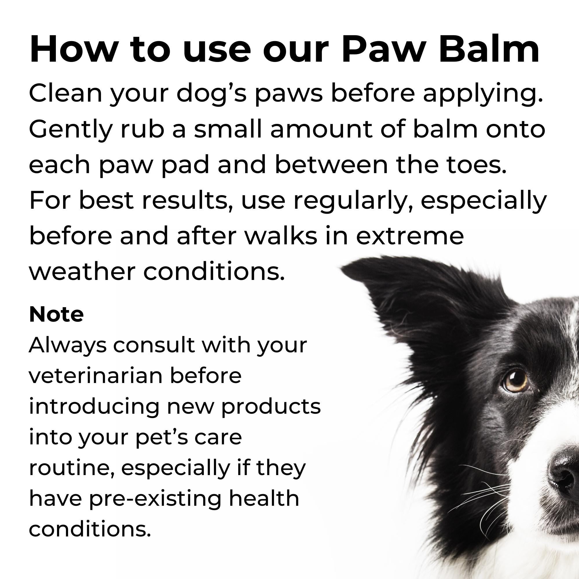 Mint Dog Paw Balm: Handcrafted Beeswax Moisturizer (2 oz)