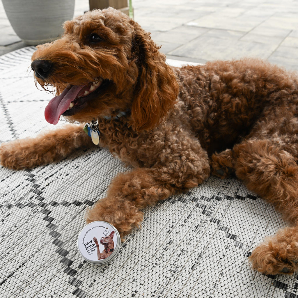 Handcrafted Dog Paw Balm: Locally Sourced Beeswax, Vitamin E (1 oz. tin)