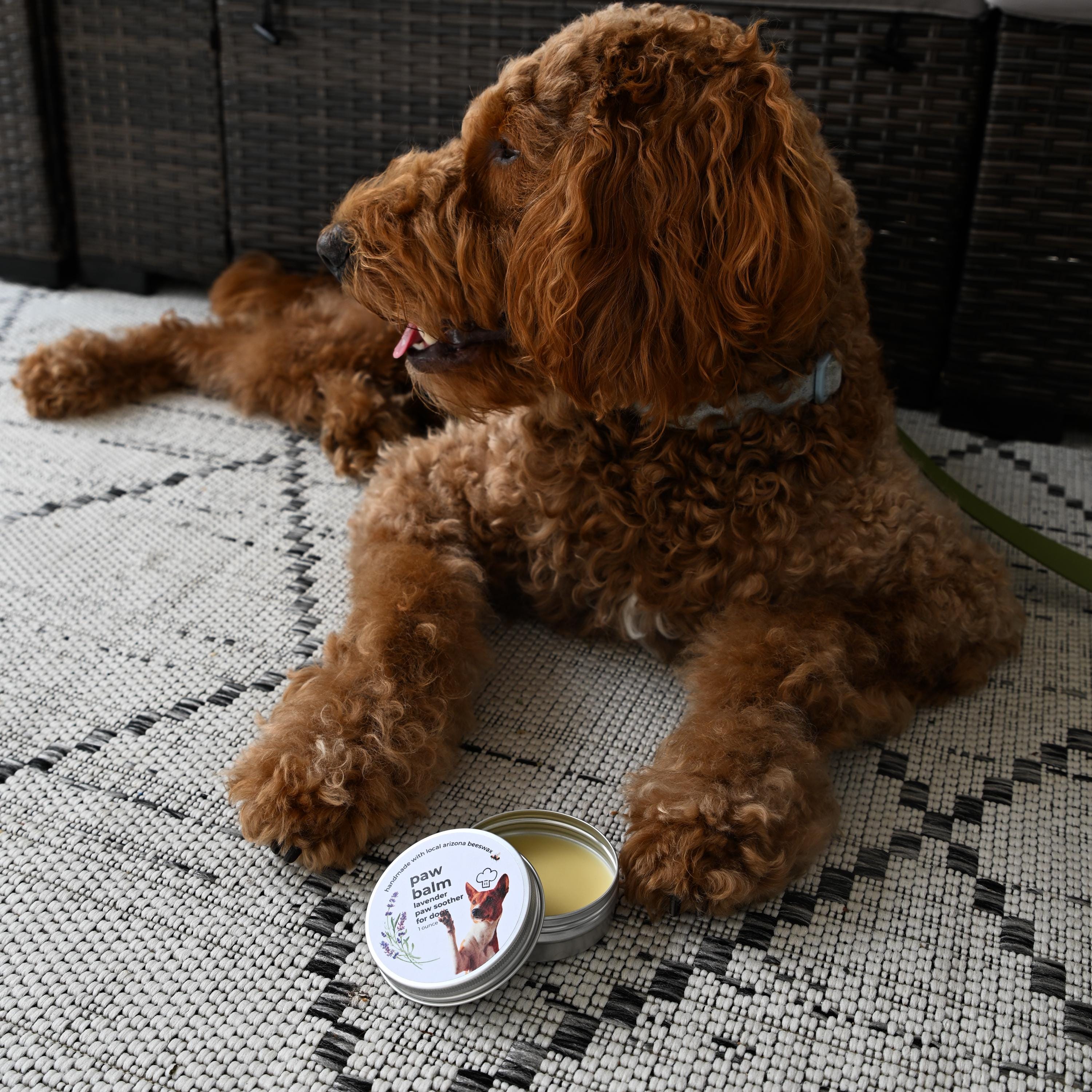 Lavender Dog Paw Balm: Locally Sourced Beeswax, Moisturizing Protection (1 oz. tin)