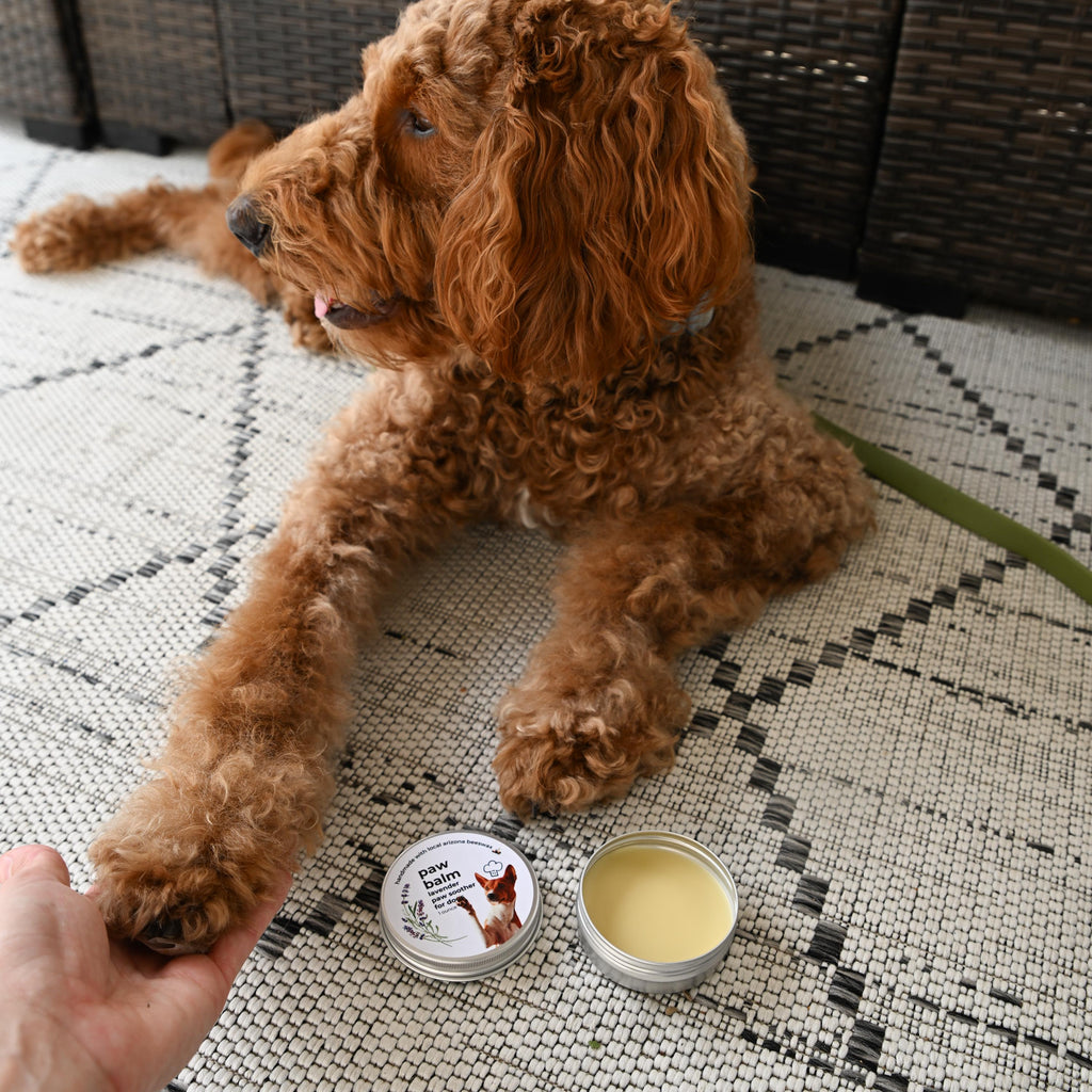 Lavender Dog Paw Balm: Handcrafted with Beeswax & Vitamin E (1 oz. tin)