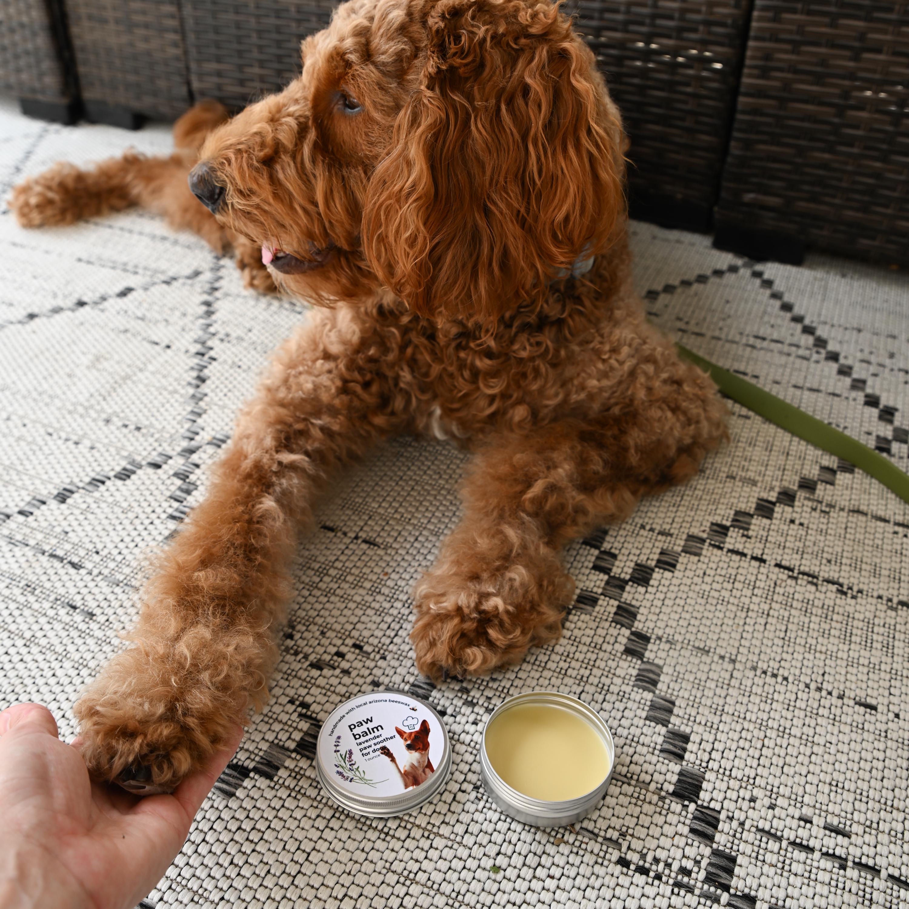 Lavender Dog Paw Balm: Locally Sourced Beeswax, Moisturizing Protection (1 oz. tin)