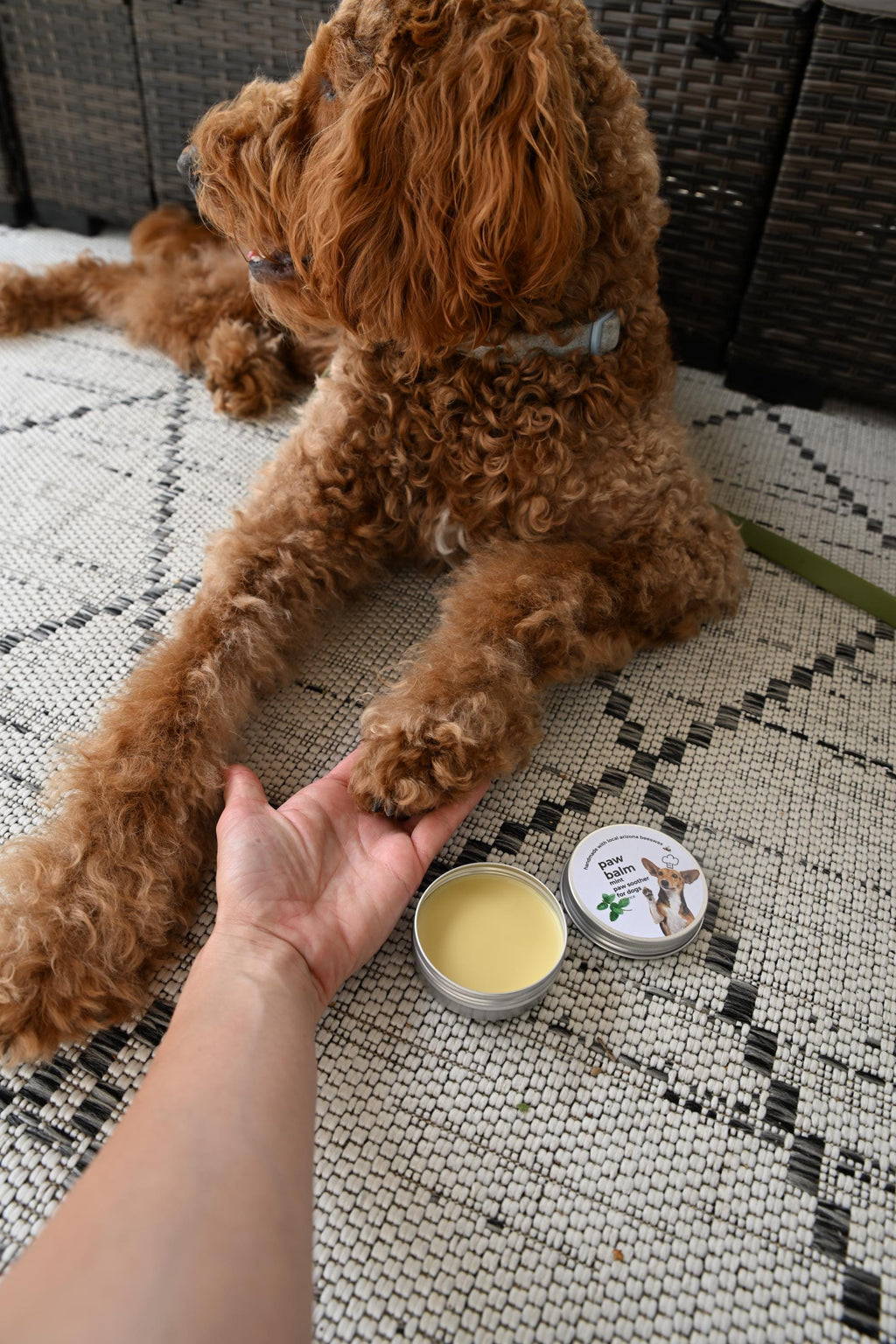 Mint Dog Paw Balm: Handcrafted with Beeswax & Vitamin E (1 oz. tin)