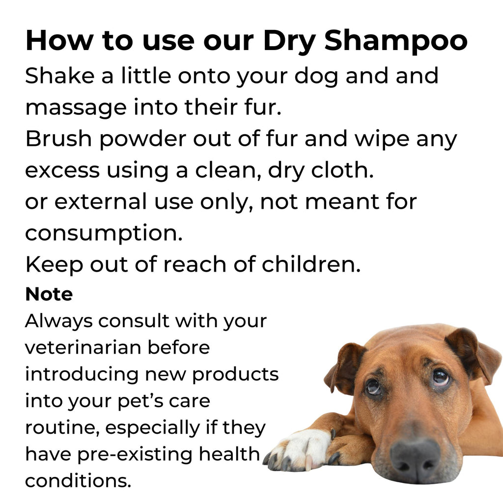 Unscented Dry Dog Shampoo: Waterless, Gentle, No Rinse - 6 oz