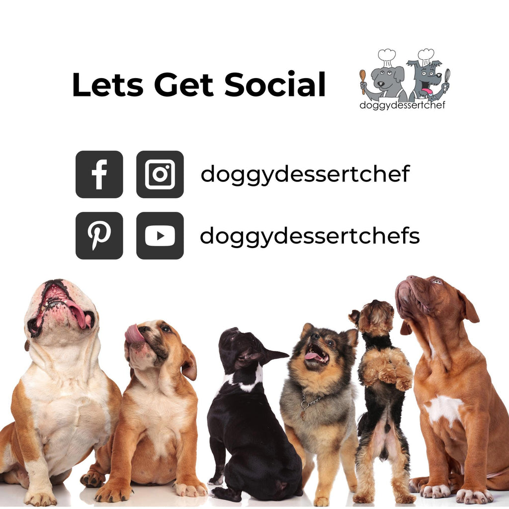 Lavender Dog Paw Balm: Natural Moisturizing Protection (2 oz Cardboard Tube)