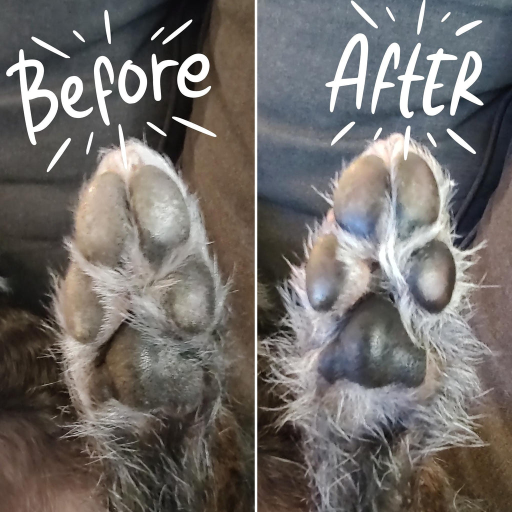 Beeswax Dog Paw Balm: Natural, Moisturizing, Unscented (2 oz Tube)