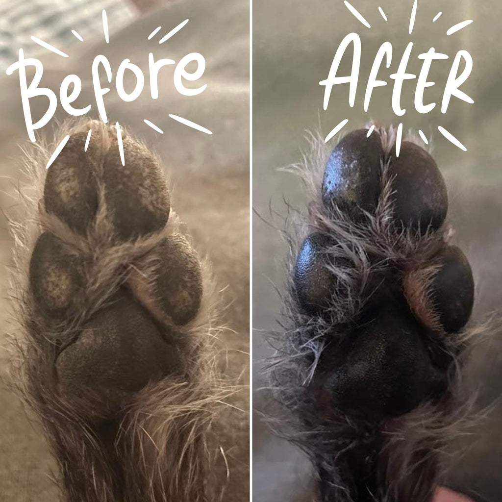 Handcrafted Dog Paw Balm: Locally Sourced Beeswax, Vitamin E (1 oz. tin)