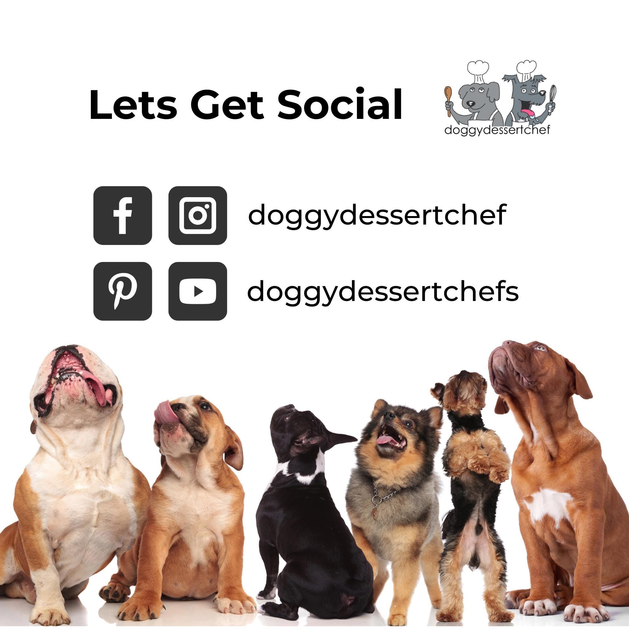 Unscented Dry Dog Shampoo: Waterless, Gentle, No Rinse - 6 oz