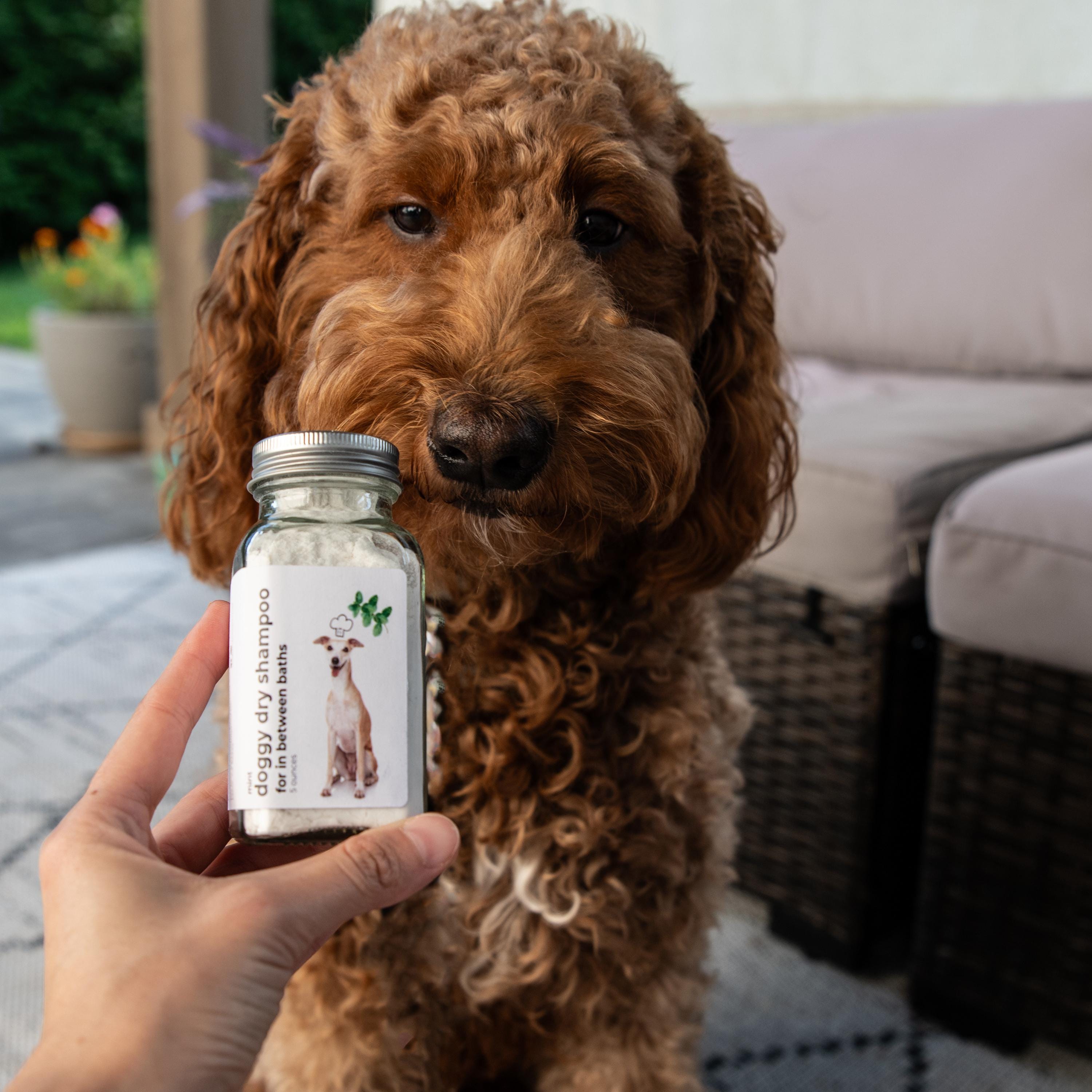 Mint Dry Dog Shampoo: Natural Waterless Deodorizing Pet Powder (6 Ounces)