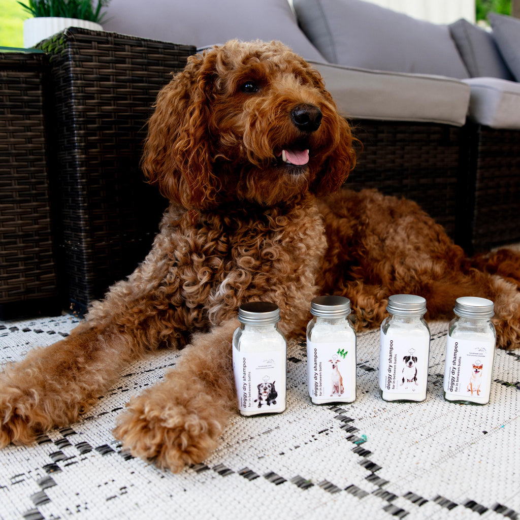 Mint Dry Dog Shampoo: Natural Waterless Deodorizing Pet Powder (6 Ounces)