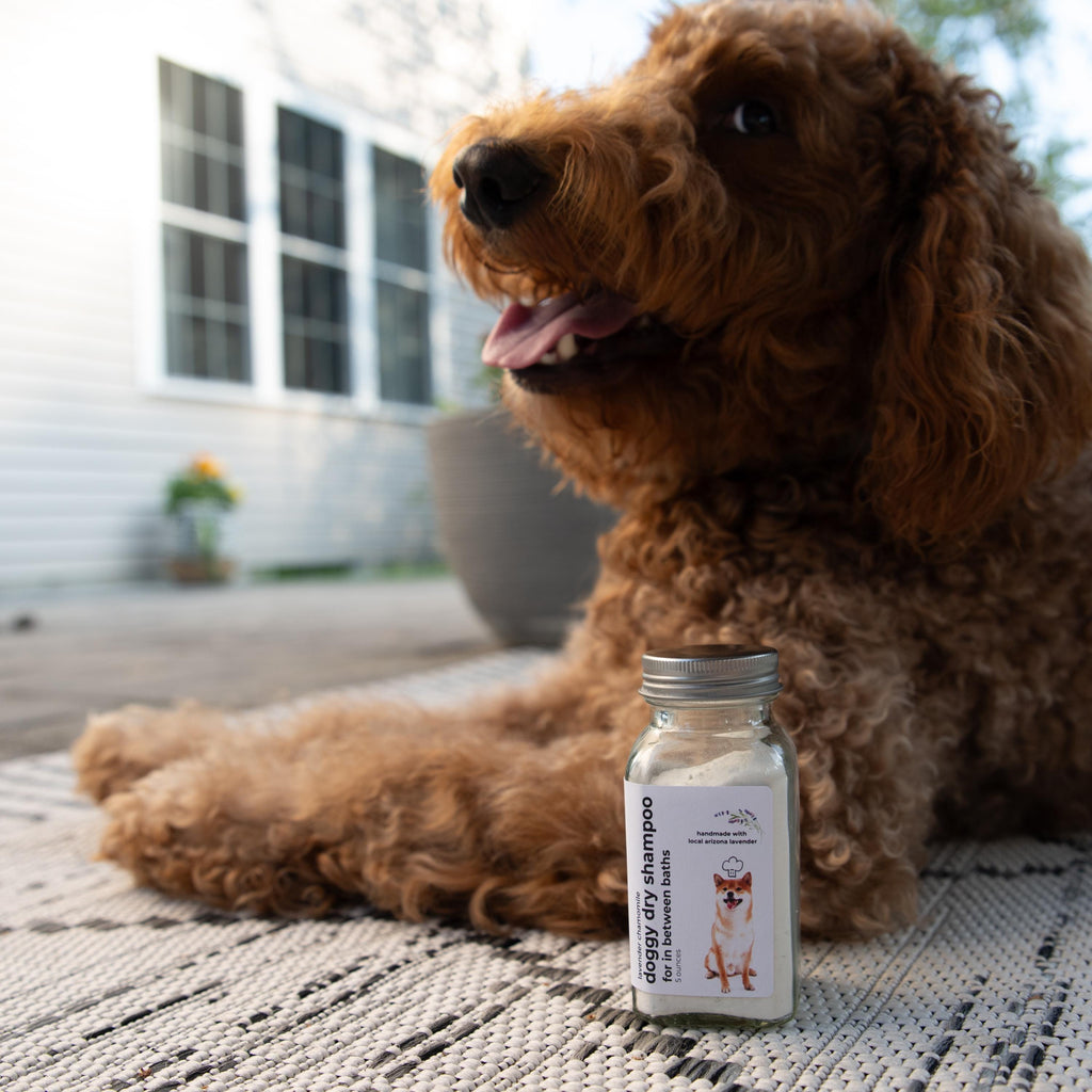 Lavender Chamomile Dry Dog Shampoo: Calming Waterless Dog Wash (6 ounce)