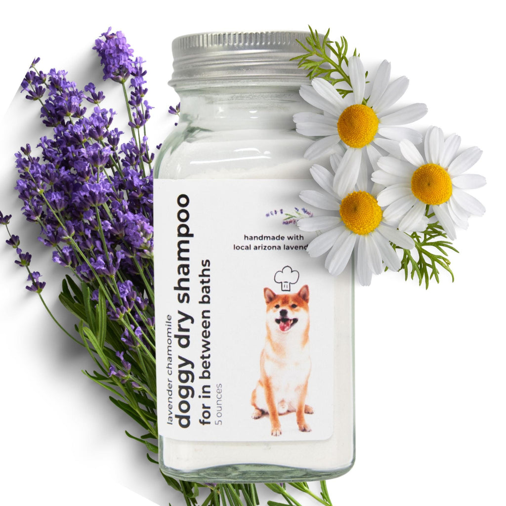Lavender Chamomile Dry Dog Shampoo: Calming Waterless Dog Wash (6 ounce)