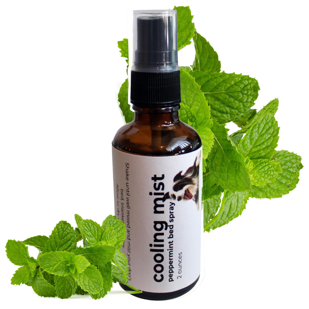 Peppermint Dog Bed Cooling Mist: Natural Refreshing Spray