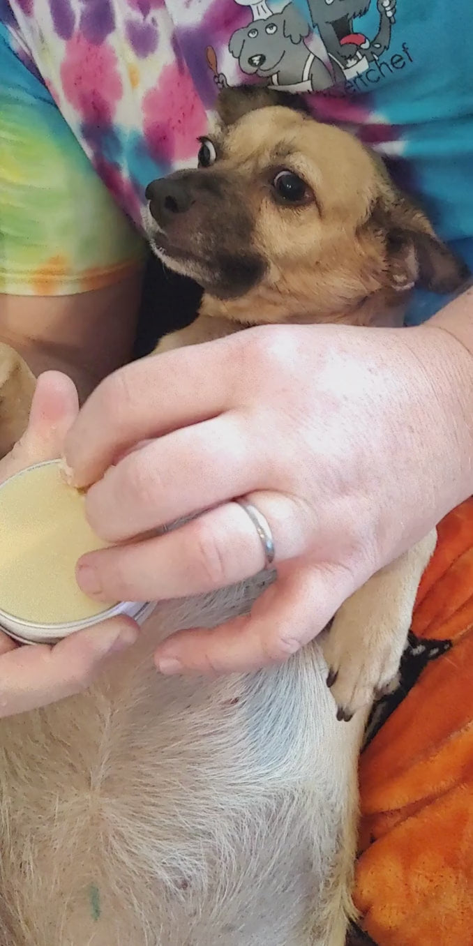Moisturizing Dog Paw Balm in Metal Tin | 3-Ingredient Formula | Small-Batch