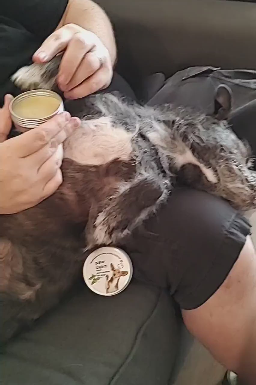 Mint Dog Paw Balm: Locally Sourced Beeswax, Nourishing Protection (1 oz. tin)