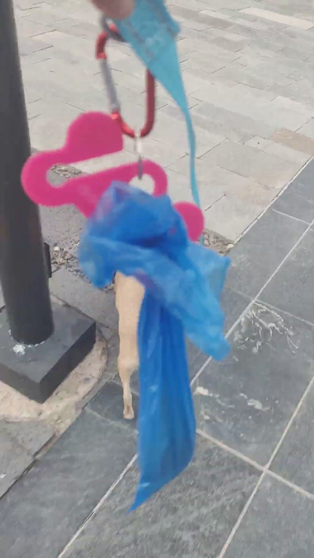 Doody Calls Dog Poop Bag Holder | Hands-Free Dog Waste Bag Holder | Funny Dog Leash Accessory | Acrylic Poop Bag Carrier