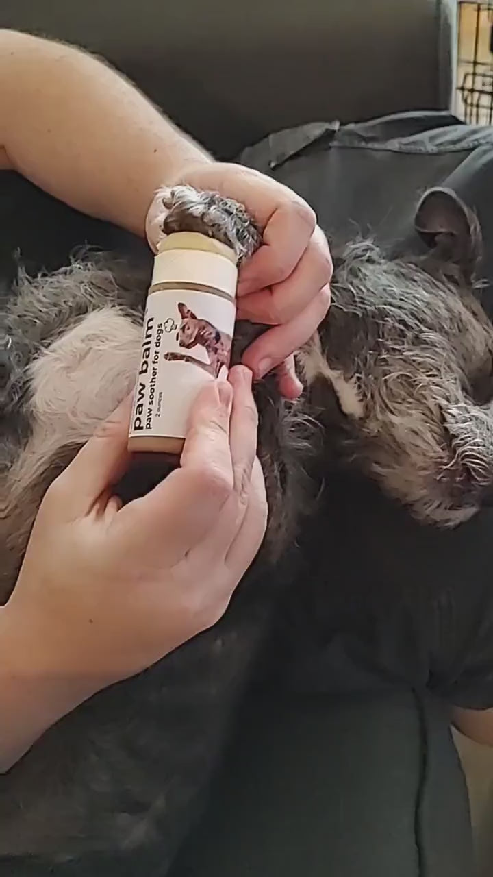 Mint Dog Paw Balm: Handcrafted Beeswax Moisturizer (2 oz)