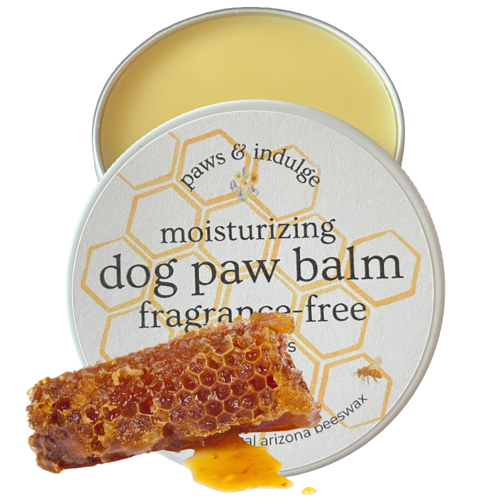 Moisturizing Dog Paw Balm | Mango Butter Paw Care